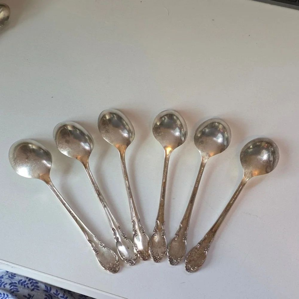 Vintage Oneida Wm A Rogers Valley Rose Silverplate Flatware Set 20 Pcs 1956